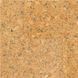 Настінний корок Wicanders Burel Cork Wall Capsule Collection Forest 81000356 81000356 фото 1