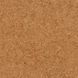 Настенная пробка Wicanders Dekwall Cayman waxed 81000080 81000080 фото 1